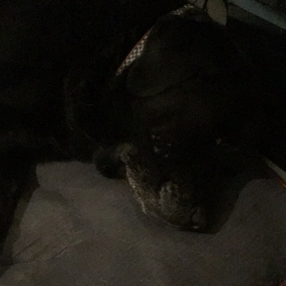 Meet your Posher, Debbie